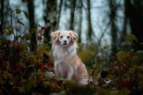 DSC_1827.jpg