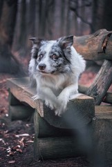 DSC_3023.jpg