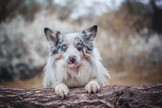 DSC_5759.jpg