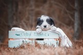 DSC_6183.jpg