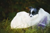 DSC_6294.jpg